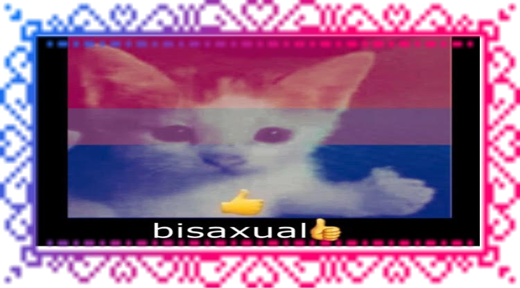 bisaxual