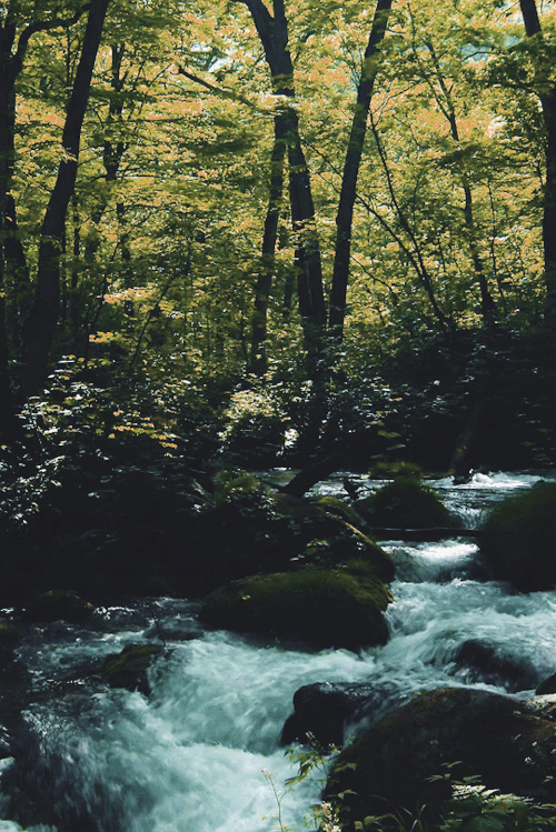 yellowrose543:

River running through the rocks 