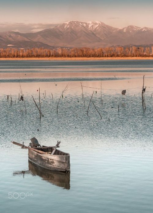 Kerkini Lake, Greece by Evgeni Fab