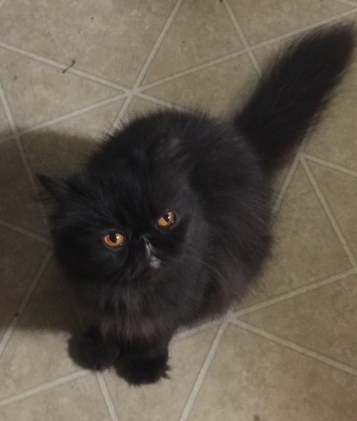 I'm Not Hearing You!!!