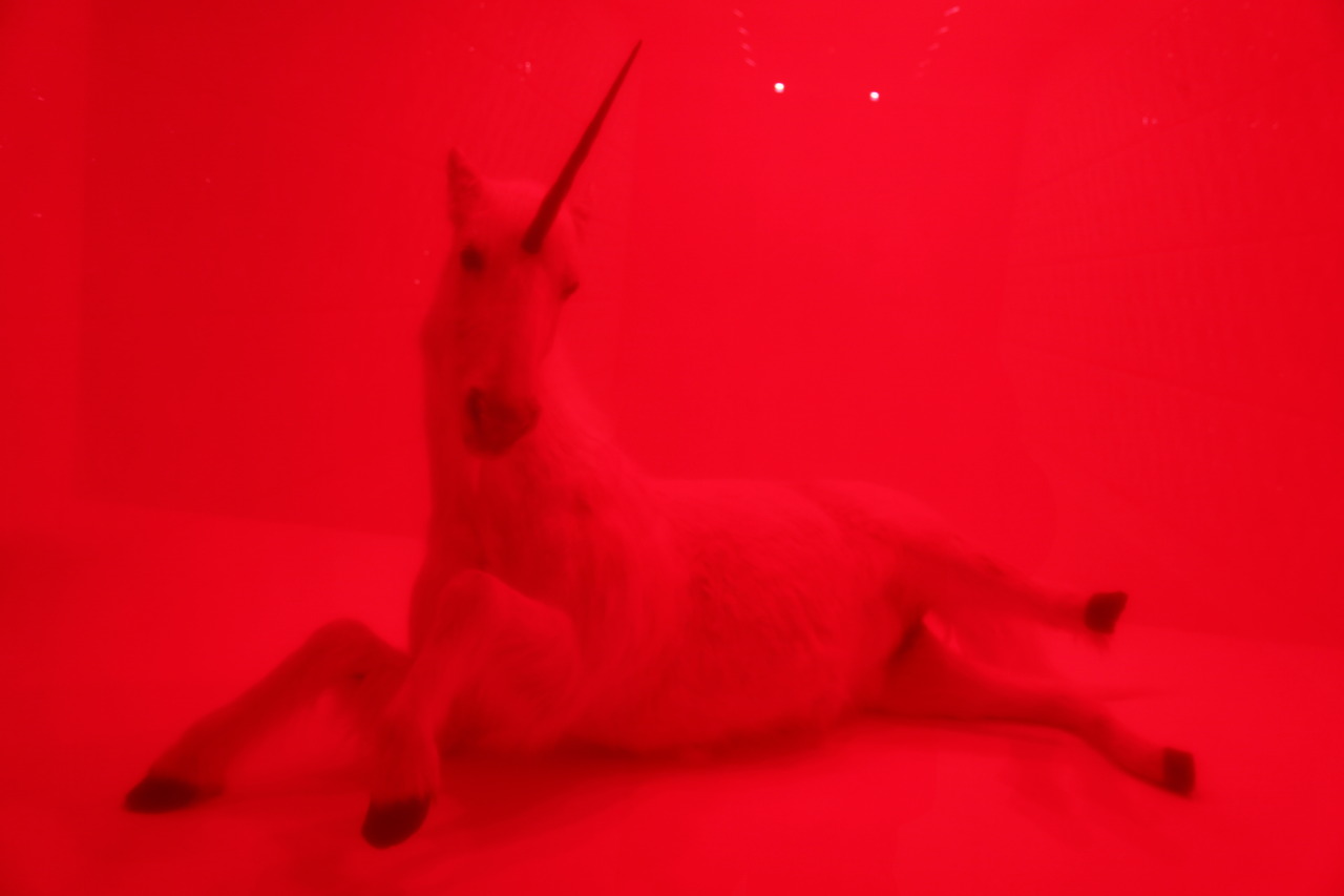 darksilenceinsuburbia:    Børre Sæthre  