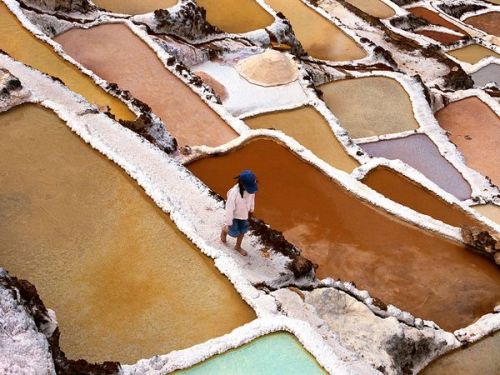 Porn Pics trefoiled:  Sacred Valley Salt Terraces,