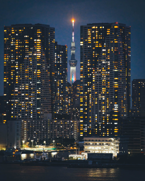 takashiyasui:Tokyo skytree