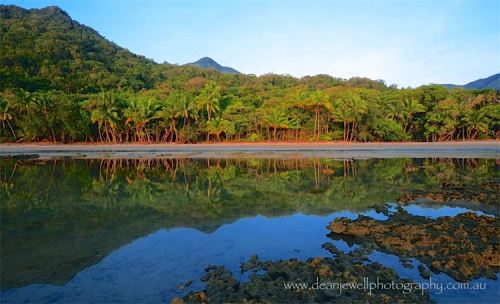 oceaniatropics:  Daintree rainforest coast, Queensland, Australia, by Dean Jewell