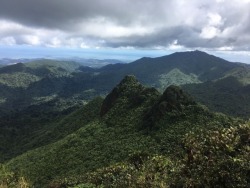 antiopia:View from the top of El Yunque, Puerto Rico