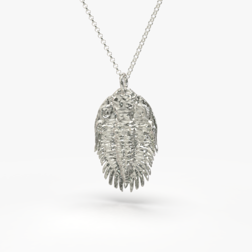 Trilobite pendant