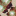 cosmicarousal-deactivated202109:Sexuality  is a big issue, but there are others—how much you commit to a  relationship, to social obligation, to honesty and being honest with  yourself.— Ang Lee
