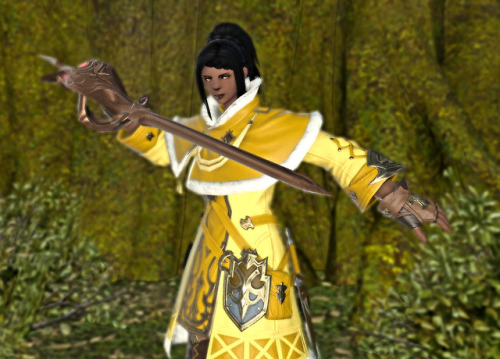 autumnslance: It’s not the Ranged gear, but I’ll take it. Coeurl Yellow and Bark Brown, 