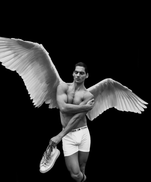 bfmaterial:   Taner Sigirtmac by Baldovino Barani for FACTORY Fanzine