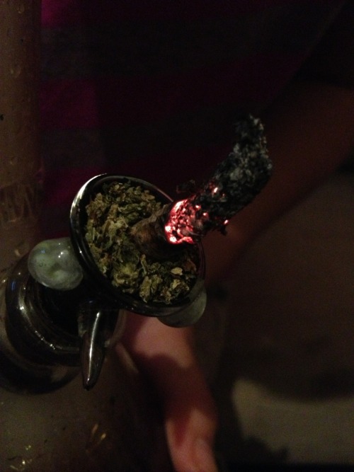 hippinessandhappiness:  Burnin bright ;) 