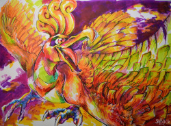 daftlynx:  Ho-Oh speedpaint I made yesterday! Done with a ballpoint pen, brush tip pen and alcohol markers. pixiv · Twitter · deviantART · YouTube (progress video) More speedpaints here 