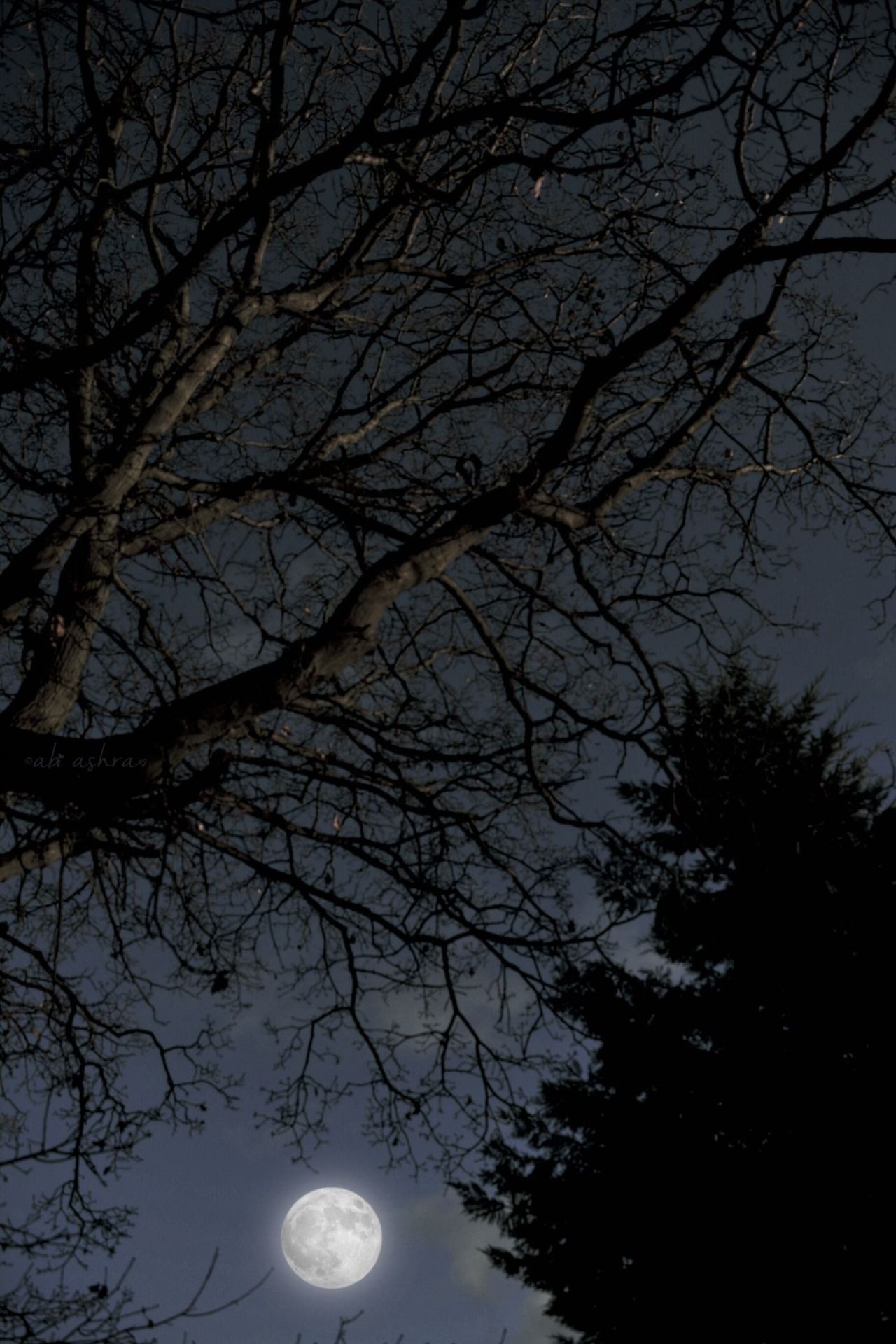love-abia:   Wandering Soul by Abi Ashra (Tumblr)  
