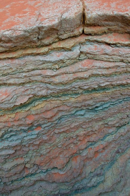 The Bright Angel Shale and the Tonto PlatformUp section from the Tapeats Shale you will often find t