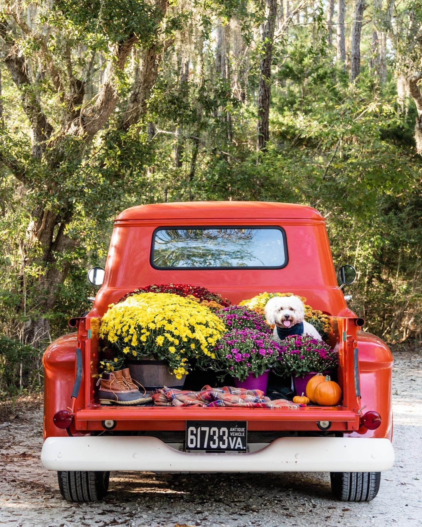 explore4release::https://www.instagram.com/countryhomemag/Sweet ❤️