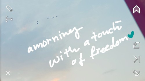 i-amal-m:a morning with a  touch of freedom.    هكذا اخذت قراري .. لا أنتظار بعد اليوم ولا قيود و لا أوجاع .. لاني أدركت اني كالطيور .. ولدت كي احلق عاليا في السماء
