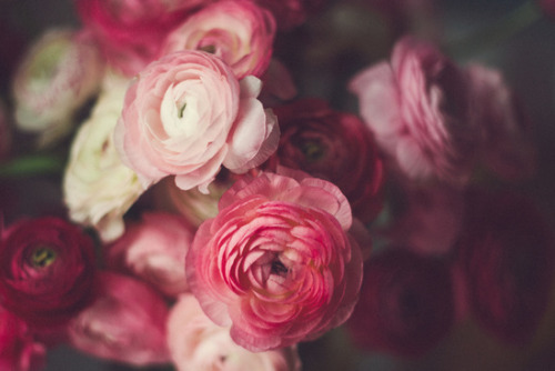 floralls:    by Kristybee    Ñ