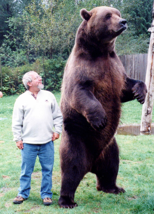 Animal sizes for comparison adult photos