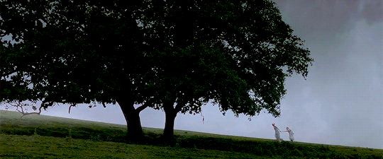 tumblr_ovu5w3ouMj1vcvupko3_540.gif