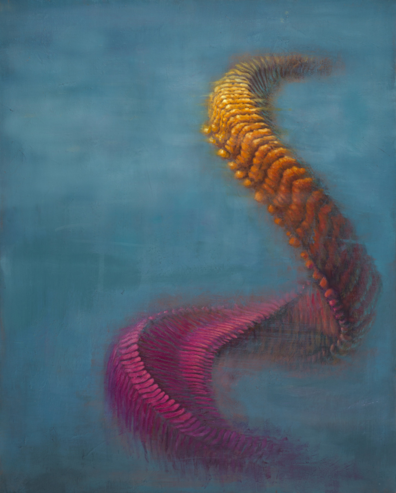 2headedsnake:  Jonny Popovich 