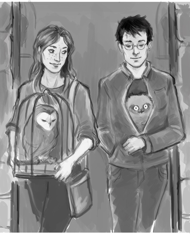emmahay:  Owl Shop. (Or, when Harry found Hegwig’s successor - before it could