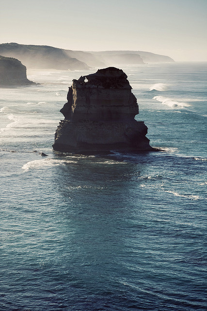 tumhblr:  nature / vintage