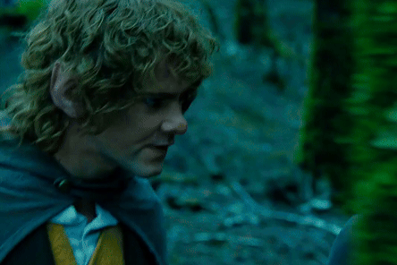 Merry Brandybuck, The Fellowship Of The Ring