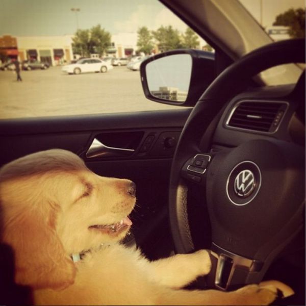 This is how I drive