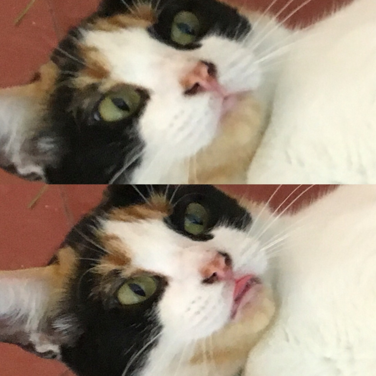 that moment when u spot the last of the leftover fideo sittin in back of the fridge