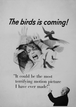 supermodelgif:The Birds (1963) / Alfred Hitchcock