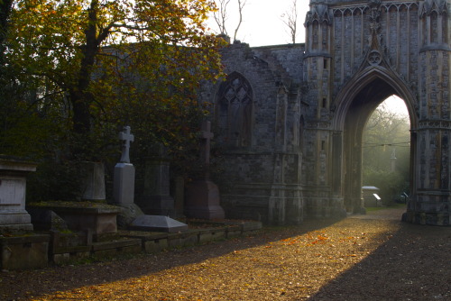 Porn thedailyedith:  Nunhead Cemetery, London. photos