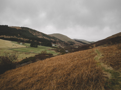 College Valley, Northumberland