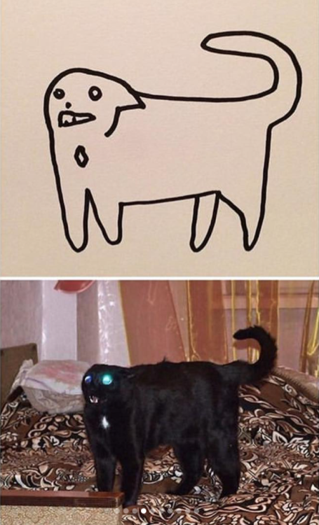 When your teacher keeps saying you can’t draw cats, but your paintings are photorealistic