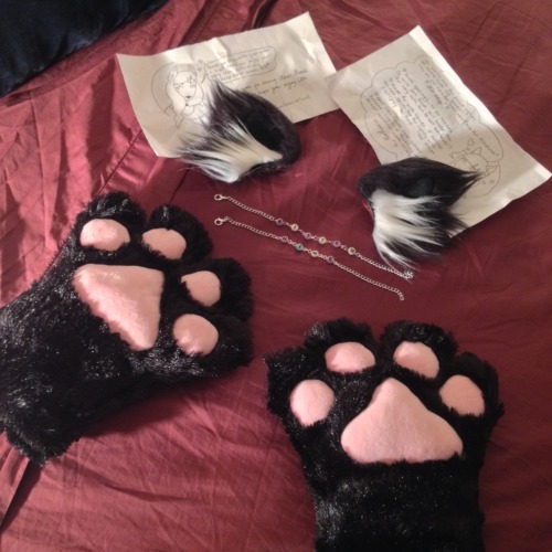 oujis-kitten:  Today was a good mail day! Unfortunately this kitty is sick as heck.   Ears: Grimmfabrications Bow: Kumacreations (use oujibuns for 10% for a whole week!) Paws: depop  (Please leave my captions in tact, otherwise you will be blocked + blows
