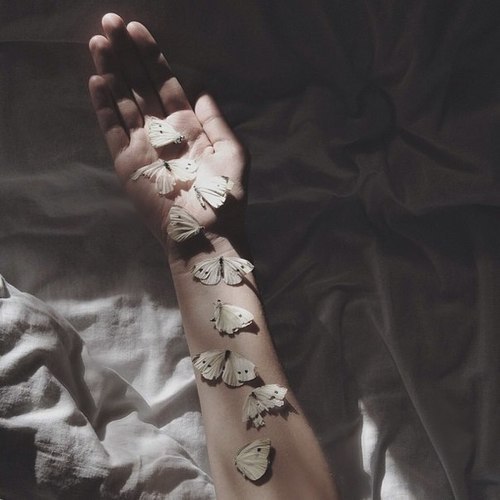 Where am I? Who am I?Am I a dead butterfly? Or dying bird?