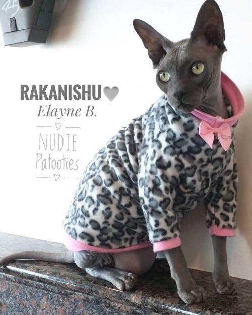 It’s sweater weather! These meowdels are staying warm and fashionable in their NudiePatooties.