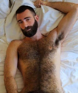 Fabulous Hairy Chests