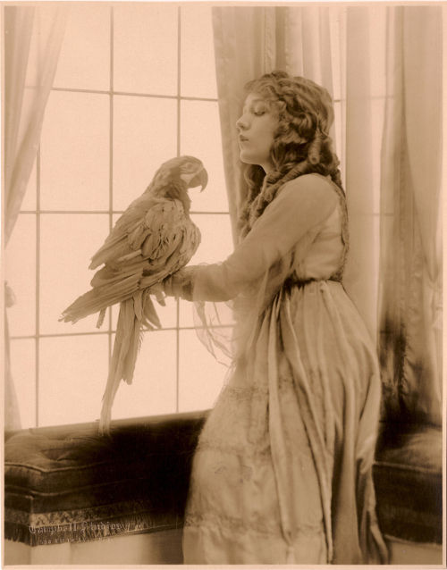 isadorabellaluna:  I was so foolish to dance this dance before the hour of the song began. Some things must be revealed in time and not displayed for all to mock the footing of the practice. My heart in my throat, I long to scream in song- only frogs