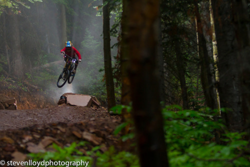 The Forest is my Playground