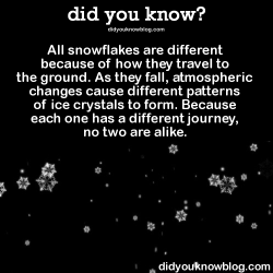 did-you-kno:  All snowflakes are different