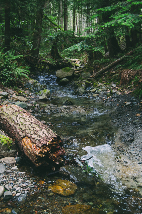 Tin Mine Creek Prints