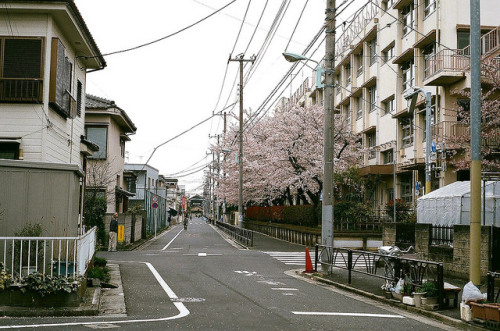 harukari:金町 by rooppe on Flickr.