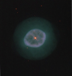 spaceexp:  IC 2448