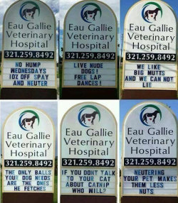 epicjohndoe:  Clever Vet