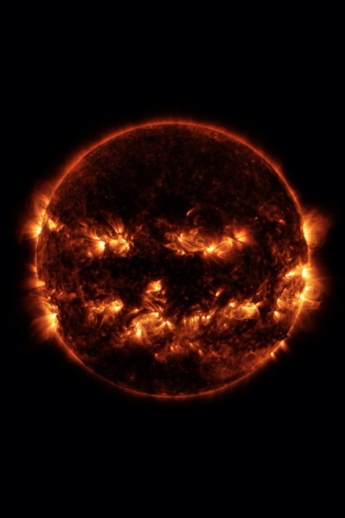 jason-the-arkham-thighs: needlessheroics: A NASA photo of sun activity from last October I thought @