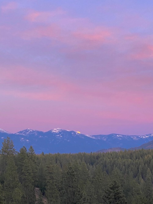 Sex softwaring:Super pink moonrise tonight over pictures