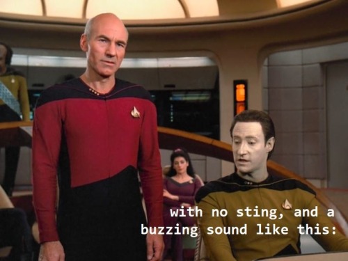 Star Trek: The Next Generation S2 E4 “The Outrageous Okona” 22:00This is the funniest thing I’ve eve