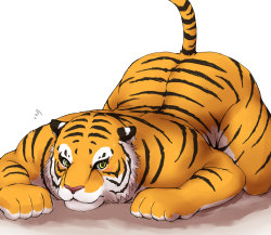 nigiyakana:  虎さんとライオンさん