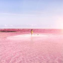 Instagram:  This Pink Lagoon Is Real, And You Can Visit It In Mexico  To See More