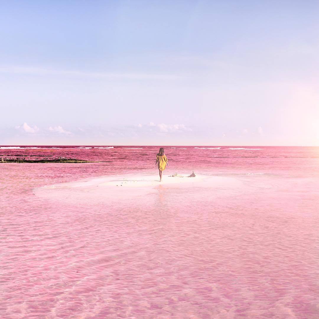 lesbian-lily:  fatbengal:  bobbycaputo:    Naturally Pink Lagoon in Mexico Is Like