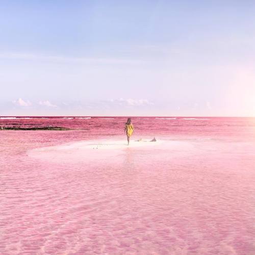 XXX bobbycaputo:    Naturally Pink Lagoon in photo